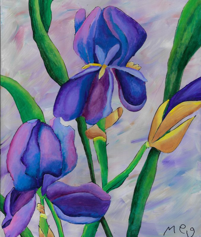 Iris Flowers in the Spring